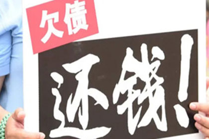 律师助力孙某赢得向某等人民间借贷案胜诉